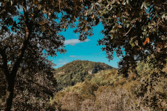Cévennes mountains in France