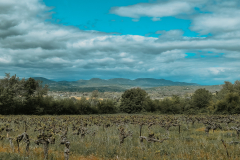 Cévennes mountains in France