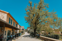 Cévennes mountains in France